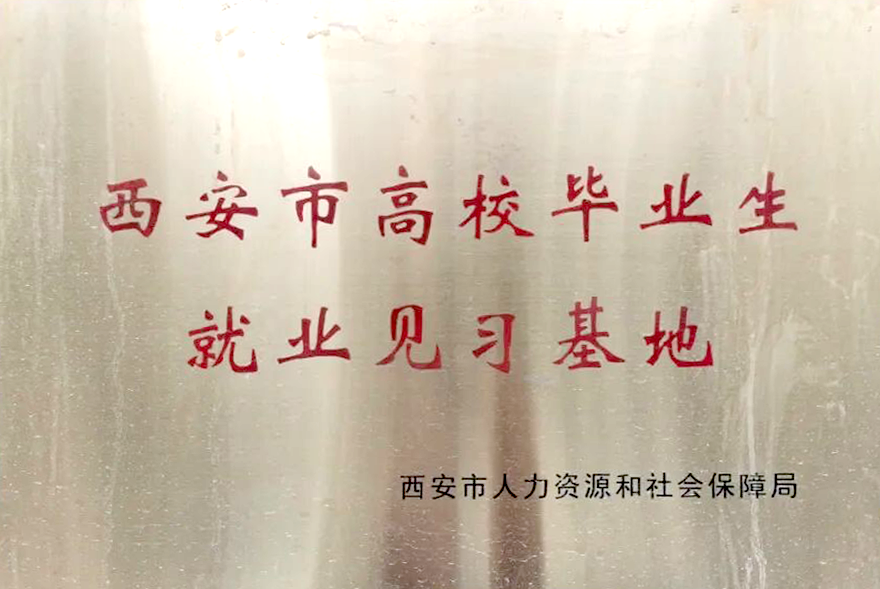 1768380757331143.png image.png